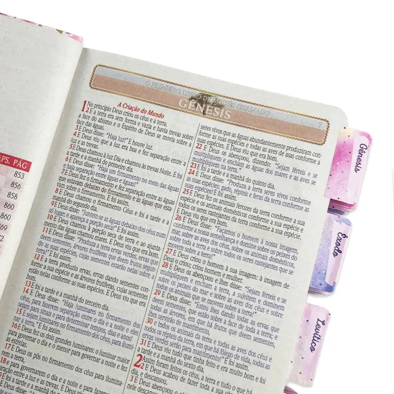 Bíblia Sagrada Evangélica Fácil Leitura Feminina com Abas Adesivas - Plano de Deus 2026
