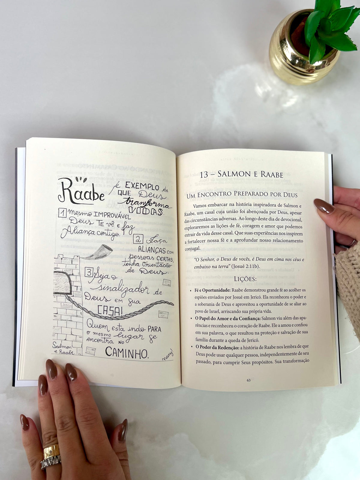 Livro  Devocional Recomeçar