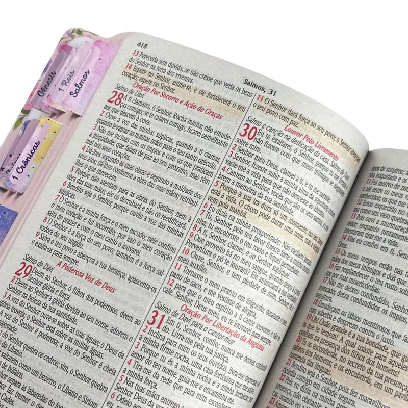 Bíblia Sagrada Evangélica Fácil Leitura Feminina com Abas Adesivas - Plano de Deus 2026