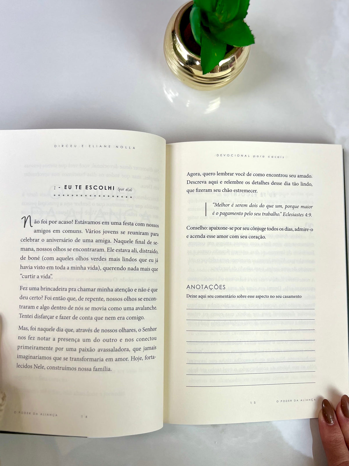 Livro O poder da Aliança