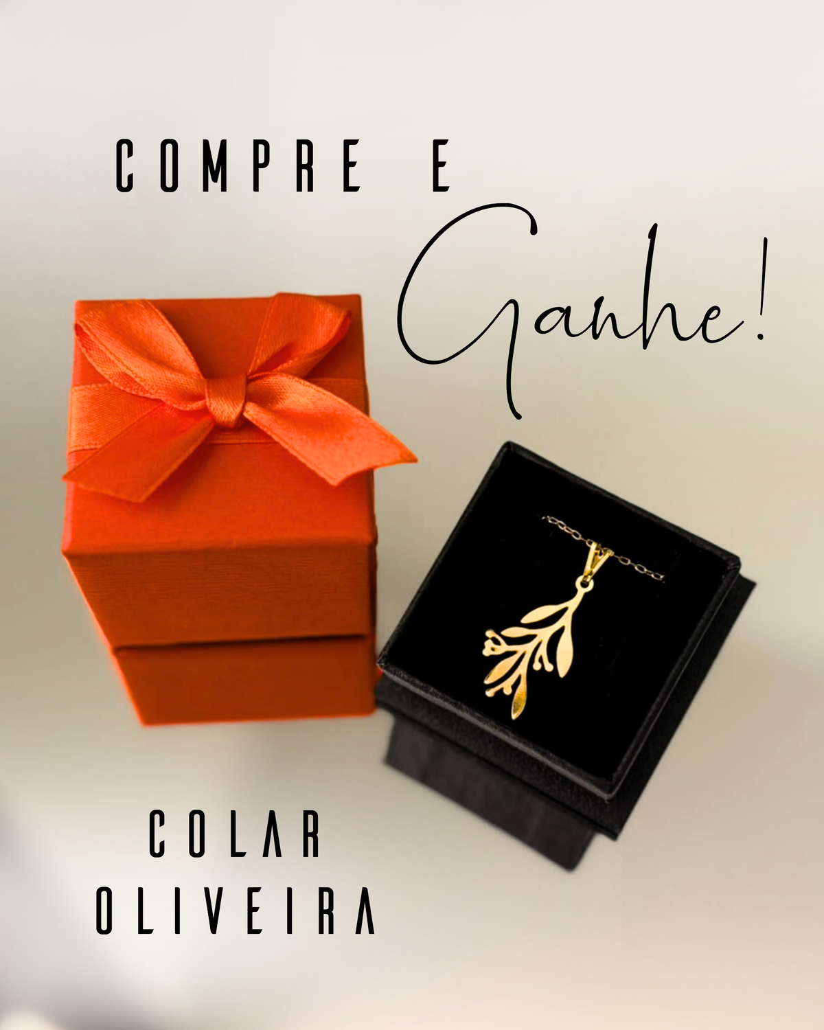 COMPRE E GANHE - Combo Bíblia Mulheres Viviane Martinello Figueira + Placa Grande + Cartela de Índices