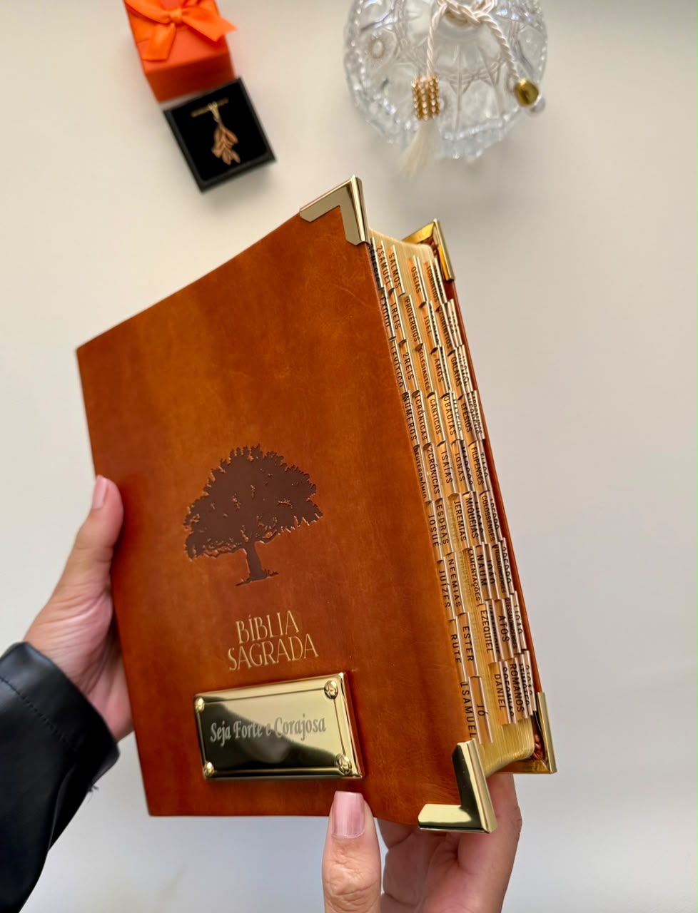 COMPRE E GANHE - Combo Bíblia Mulheres Viviane Martinello Figueira + Placa Grande + Cartela de Índices
