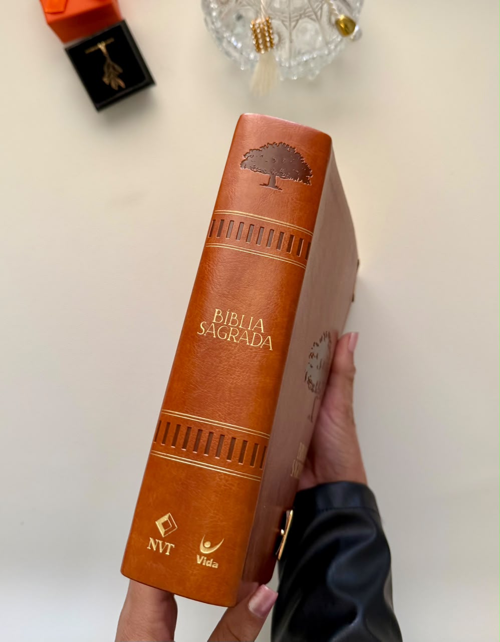 COMPRE E GANHE - Combo Bíblia Mulheres Viviane Martinello Figueira + Placa Grande + Cartela de Índices
