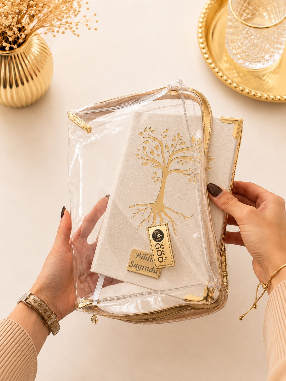 Case Protetora de Bíblia