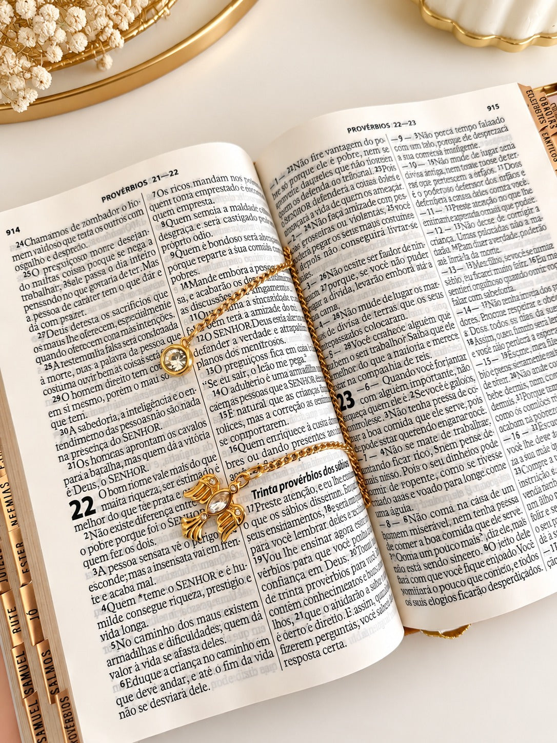 Marcador de Pagina Premium -  Pombinha do Espírito Santo