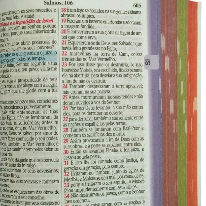 Bíblia Infantil Menina dos Olhos de Deus com Marca Páginas Exclusiva Grátis Letras médias e Contato Inspirador para Crianças Palavras de Deus em azul e Jesus em Vermelho Evangélica