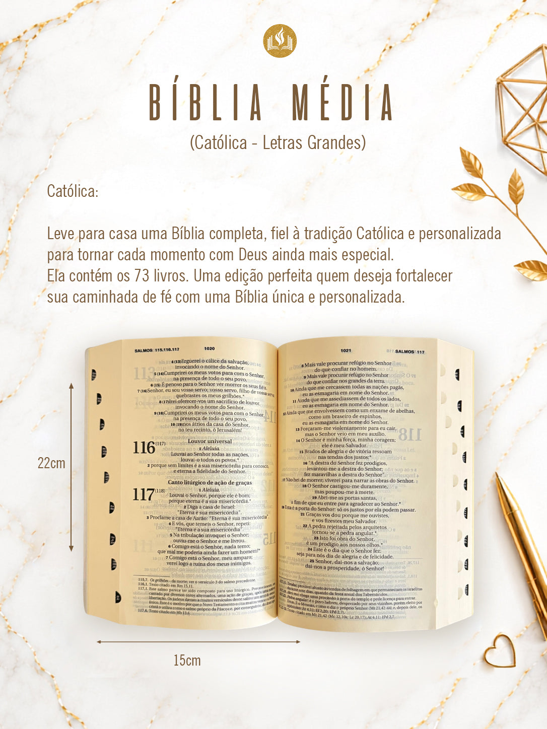 Combo Bíblia Couro Croco Marrom com nome + Placa Grande + Cartela de Índices
