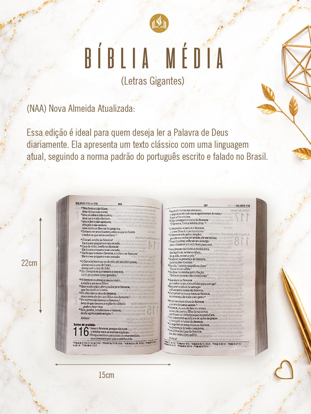 Combo Bíblia Courino Croco Branco Nome Casal e Aliança + Placa Grande + Cartela de índices