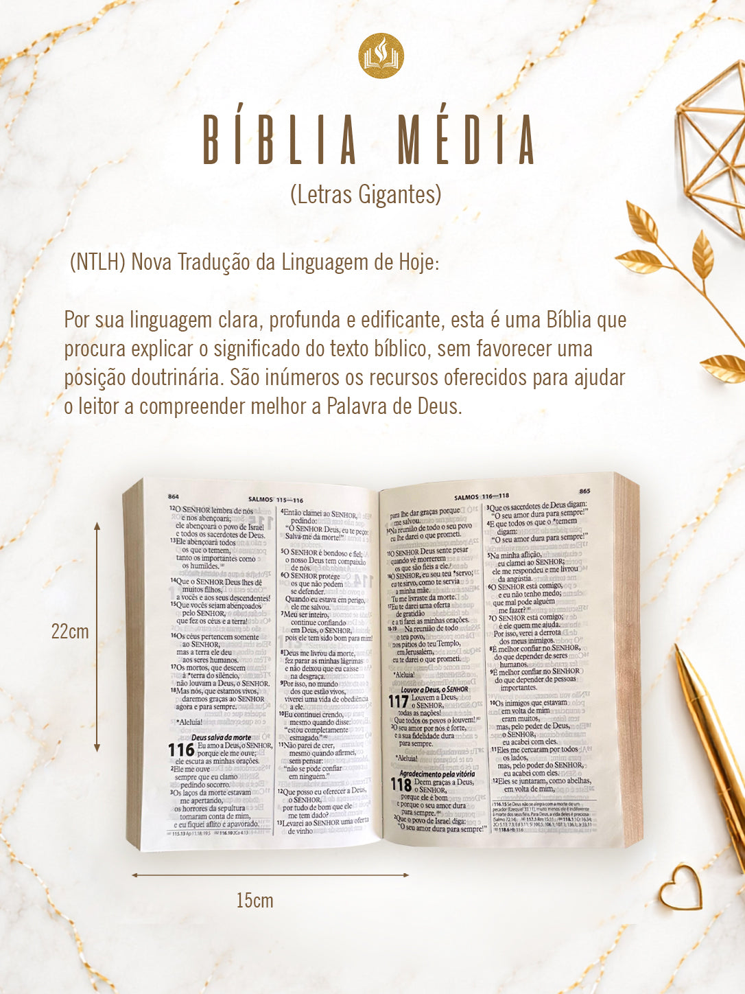 Combo Bíblia Couro Croco Preto com Nome + Placa Grande + Cartela de índices